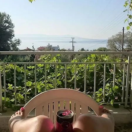 Paradise Palio Prázdninový dům *